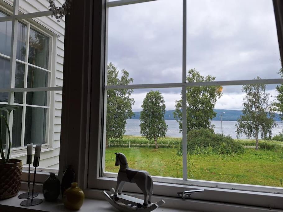 Privat Leilighet Pa Gard Med Badstue Og Nordlys 나르비크 외부 사진