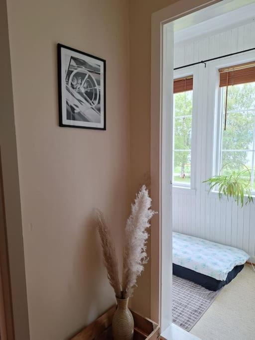 Privat Leilighet Pa Gard Med Badstue Og Nordlys 나르비크 외부 사진