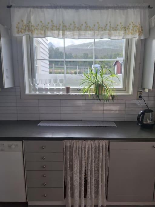 Privat Leilighet Pa Gard Med Badstue Og Nordlys 나르비크 외부 사진